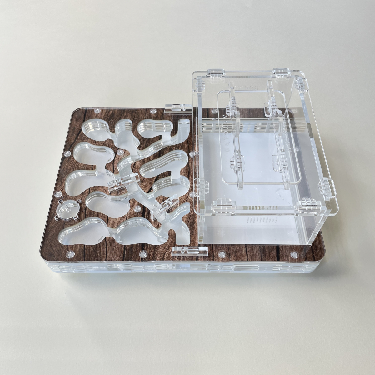 Formicarium ANTGARD HOUSE