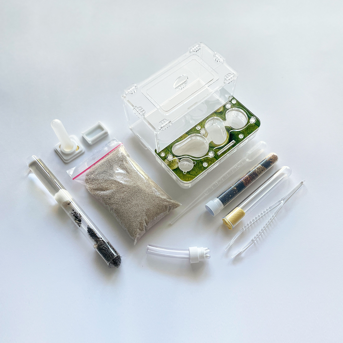 Formicarium + Ants ANTGARD HOUSE MINI Starter Kit