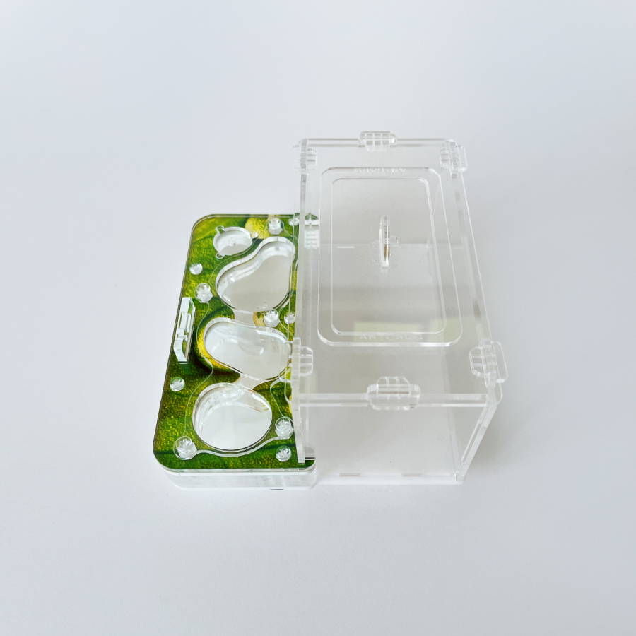 Formicarium ANTGARD HOUSE MINI