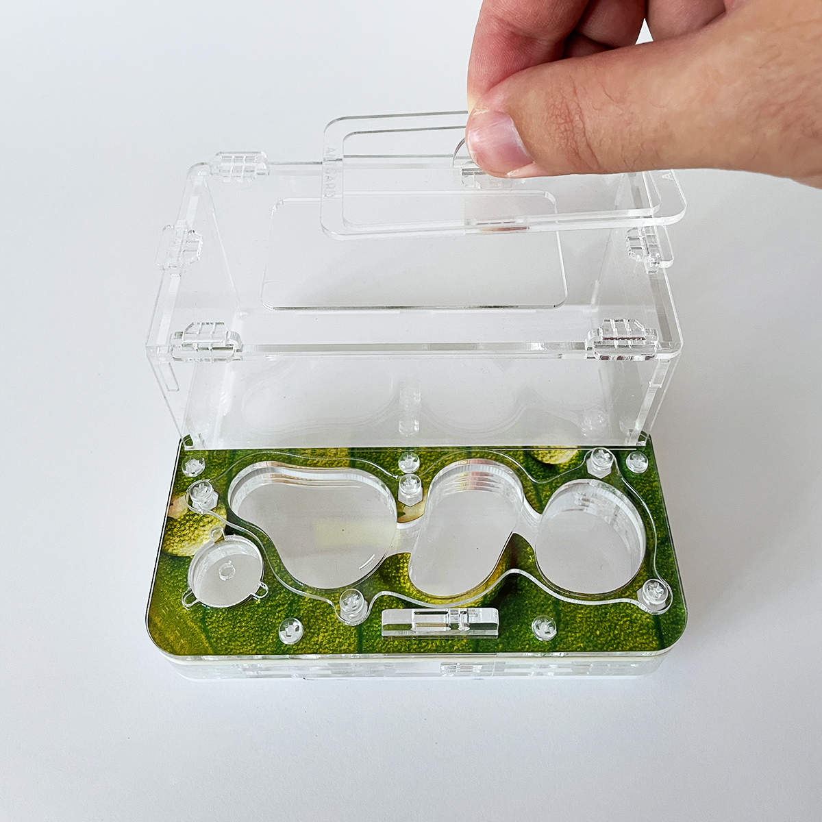 Formicarium + Ants ANTGARD HOUSE MINI Starter Kit