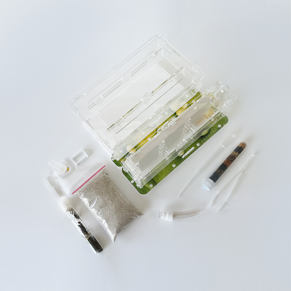 Formicarium + Ants Antgard Vertical Starter Kits