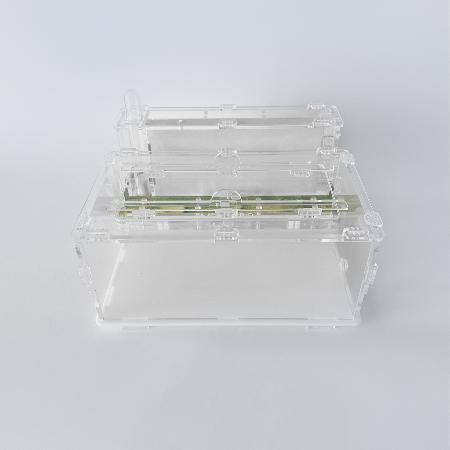 Formicarium + Ants Antgard Vertical Starter Kits