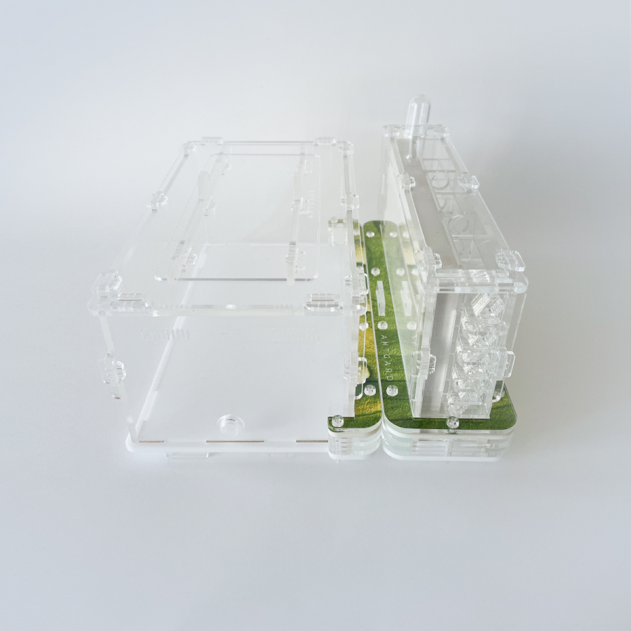 Formicarium + Ants Antgard Vertical Starter Kits