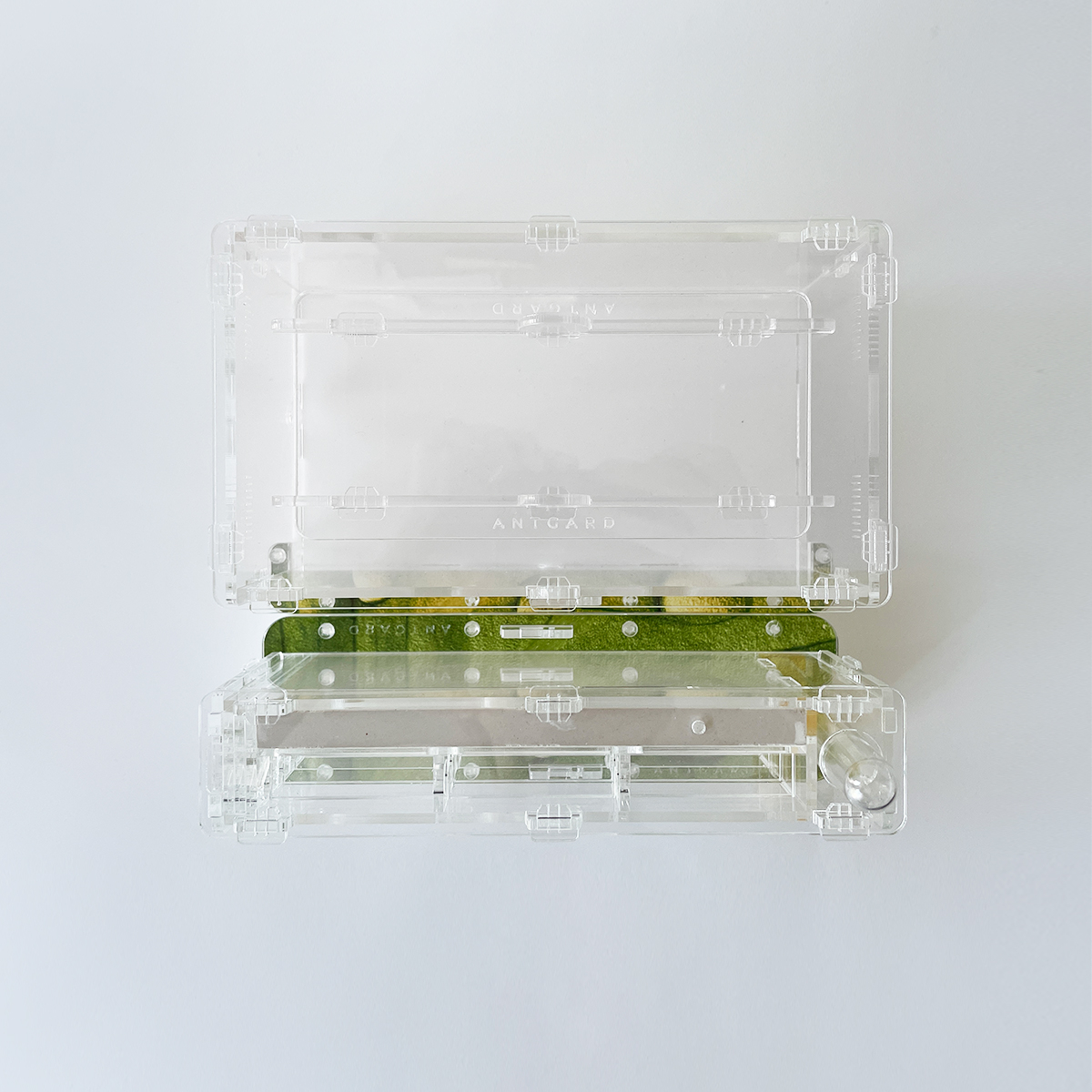 Formicarium + Ants Antgard Vertical Starter Kits