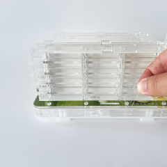 Formicarium + Ants Antgard Vertical Starter Kits