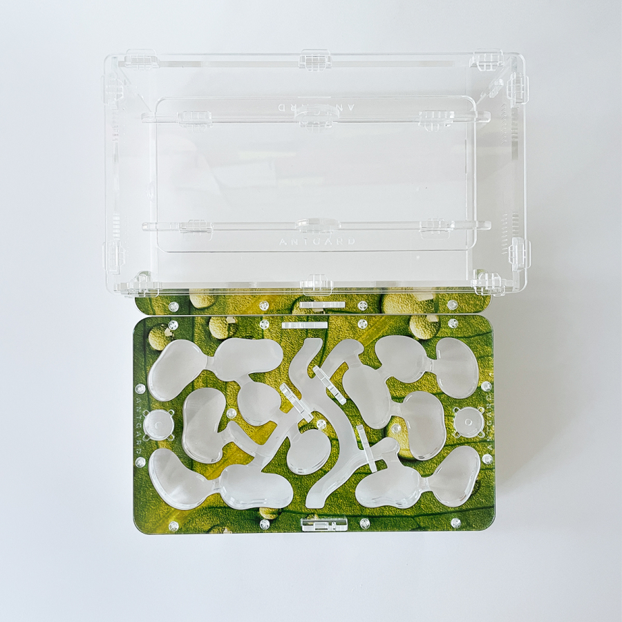 Formicarium + Ants ANTGARD BIO Starter Kit