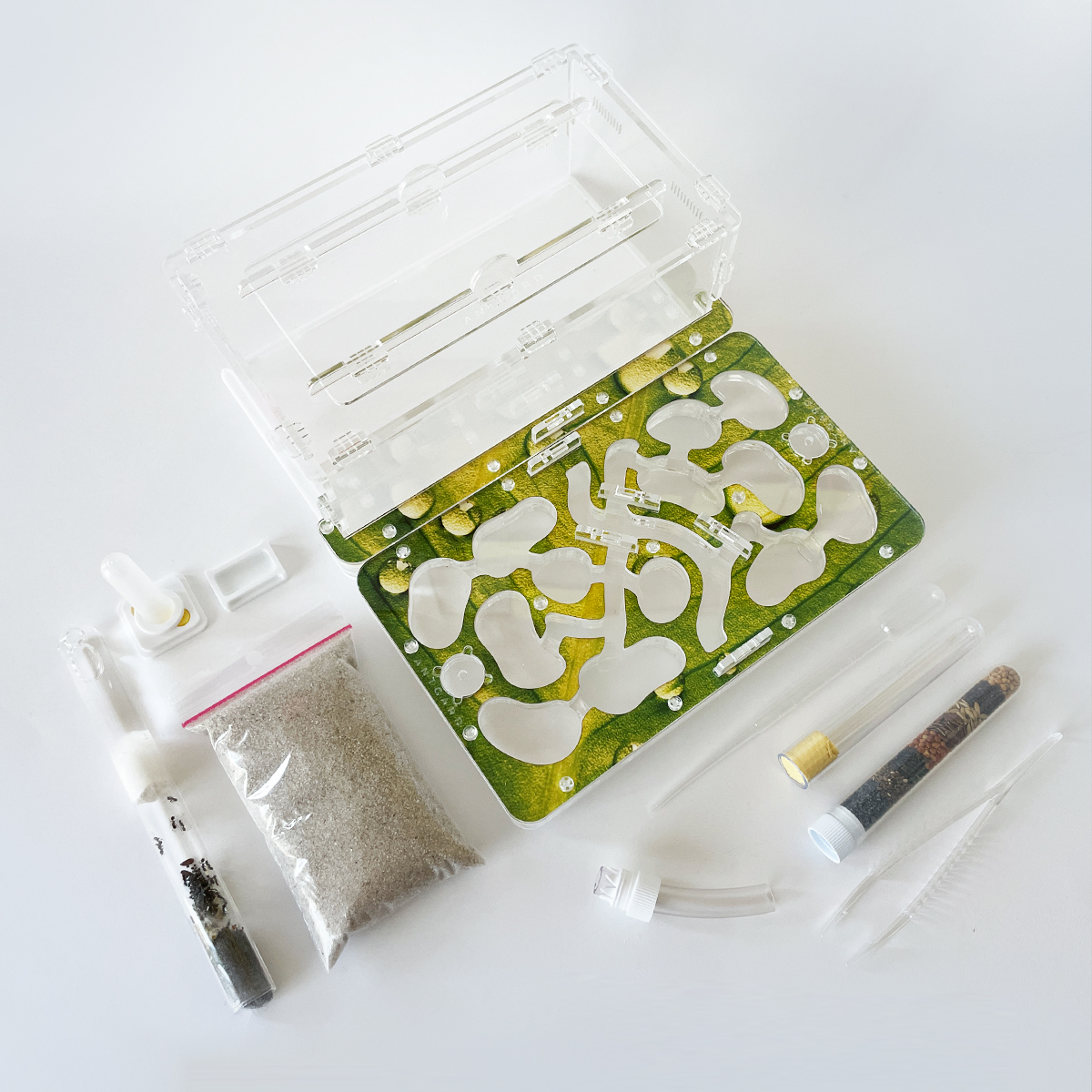 Formicarium + Ants ANTGARD BIO Starter Kit