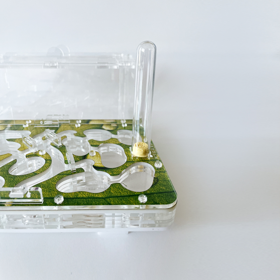 Formicarium + Ants ANTGARD BIO Starter Kit