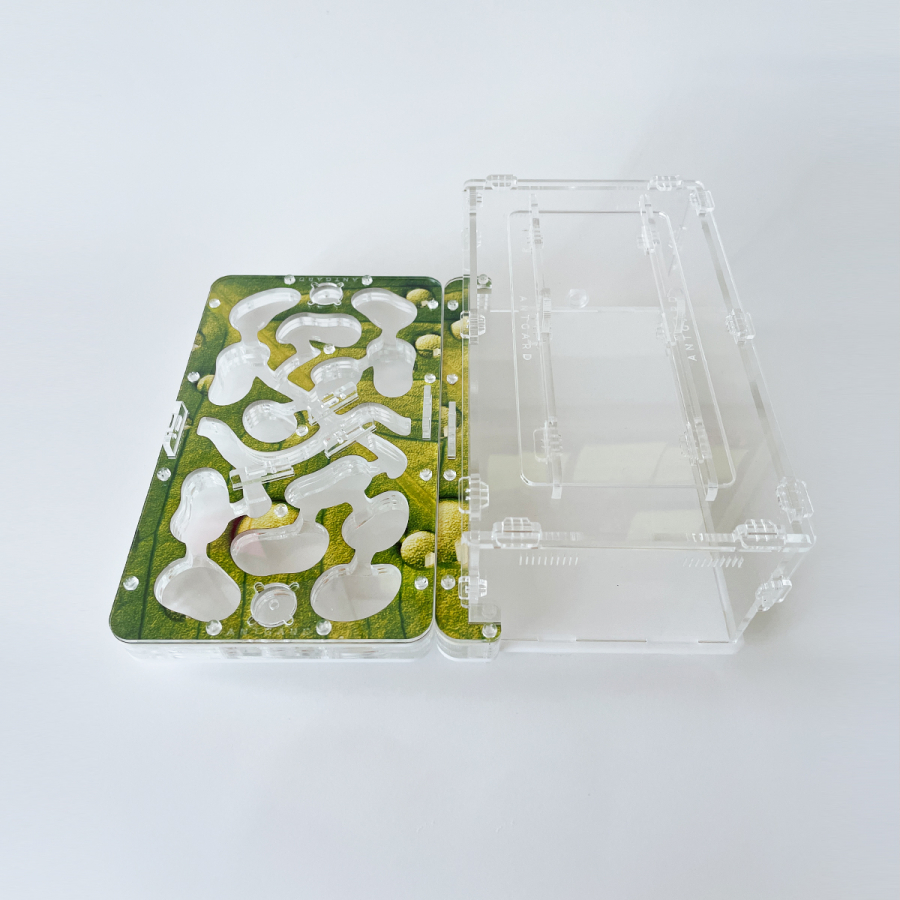 Formicarium + Ants ANTGARD BIO Starter Kit