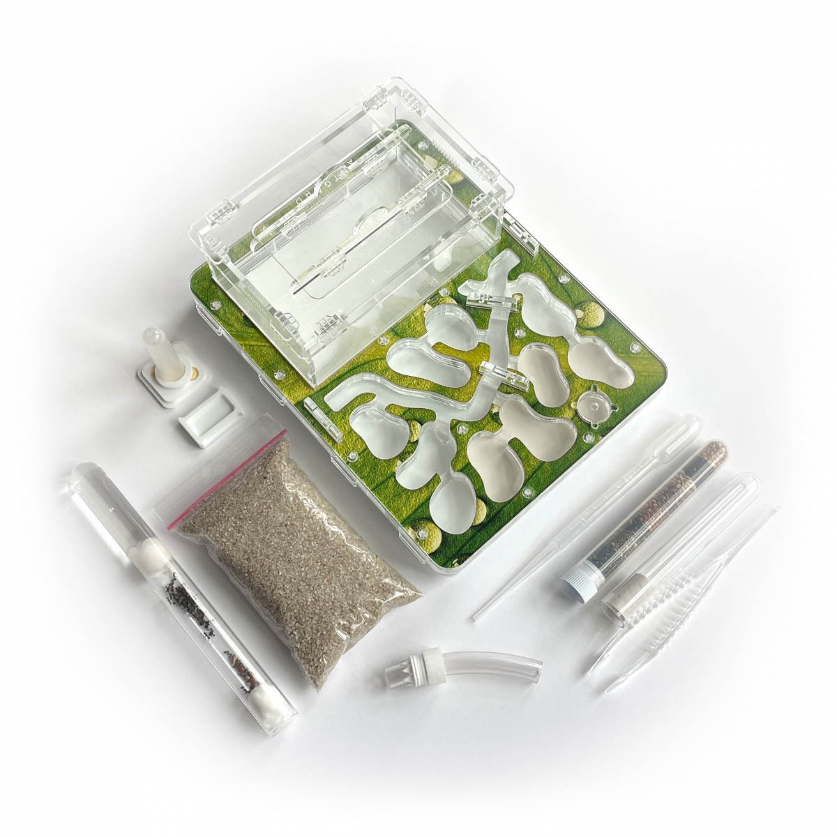 Formicarium + Ants ANTGARD HOUSE Starter Kit