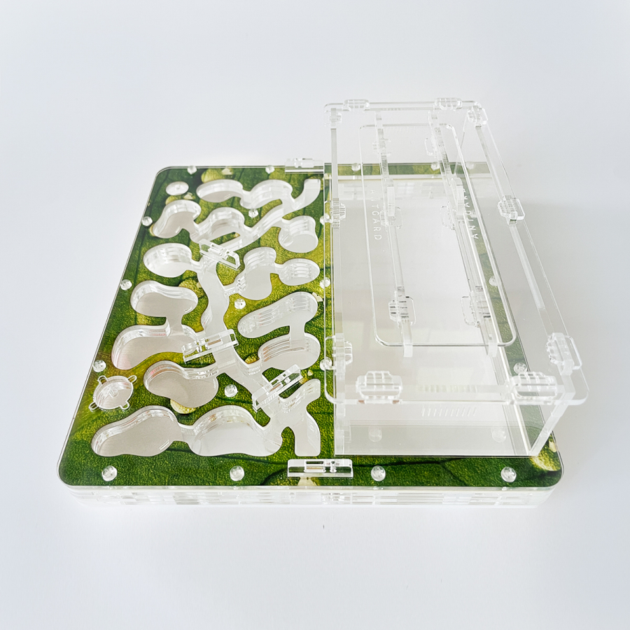 Formicarium + Ants ANTGARD HOUSE MAX Starter Kit