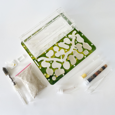 Formicarium + Ants ANTGARD HOUSE MAX Starter Kit