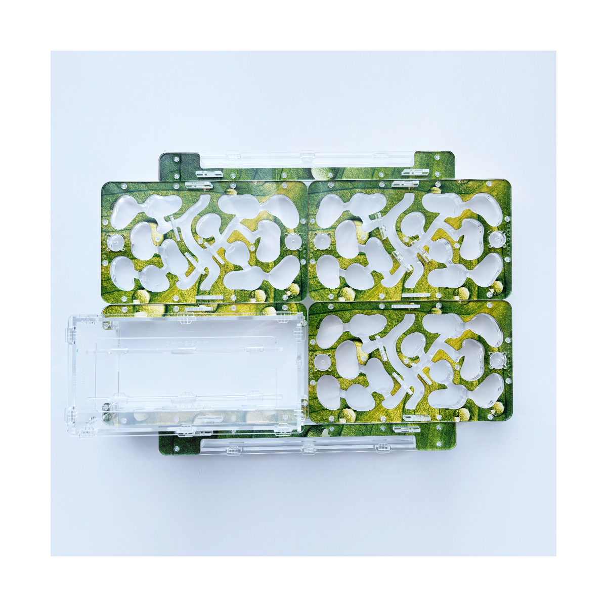 Formikarium Antgard BIO x3 + Arena DUO + magistrala x2